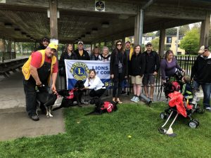 pictures from our Walk For Dog Guides in Sept 2019